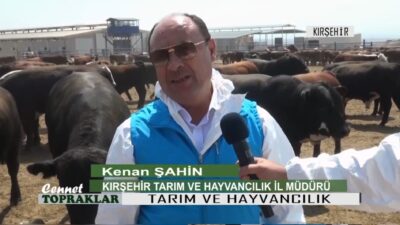 Cennet Topraklar programı Kırşehir'de tarım ve hayvancılığı ekranlara taşıdık.