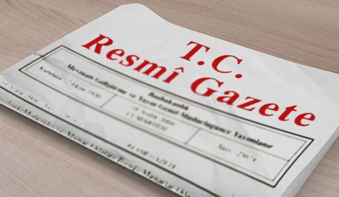 Cumhurbaşkanı Başdanışmanlığına 2 yeni atama: Resmi Gazete'de yayımlandı