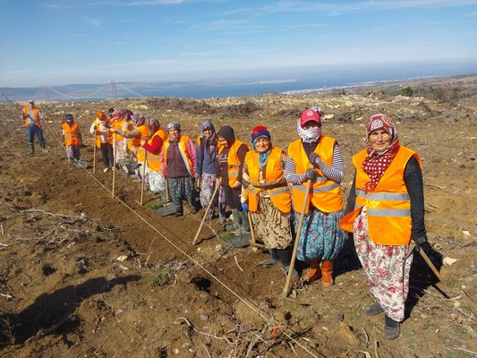 Çanakkale Orman Bölge Müdürlüğü, Türkiye’nin orman varlığını güçlendirme hedefiyle ağaçlandırma