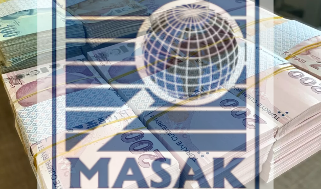 Cumhurbaşkanlığı İletişim Başkanlığı Dezenformasyonla Mücadele Merkezi (DMM), "Mali Suçları Araştırma