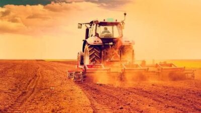 Kahramanmaraş Ziraat Odası Başkanı Mehmet Çetinkaya; 2024 yılında kuraklık sebebiyle
