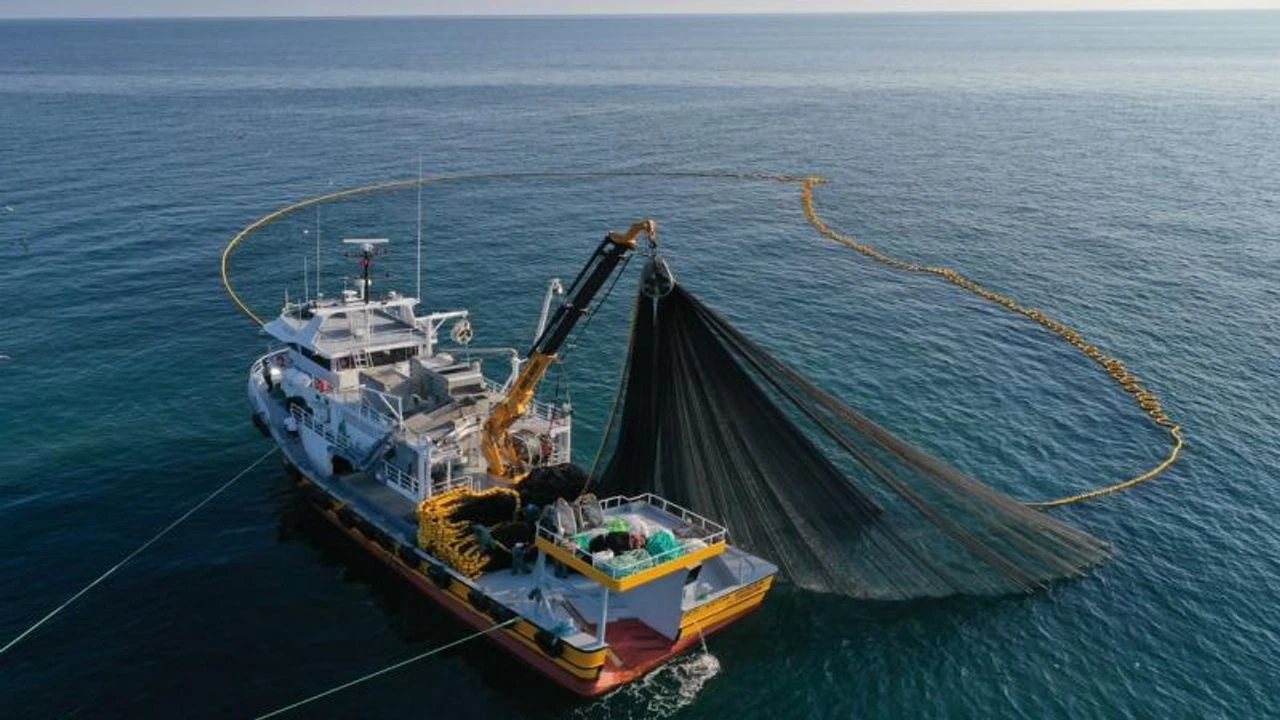 Karadeniz Bölgesi'nin su ürünleri ihracatı 62 milyon doları geçti. 2025