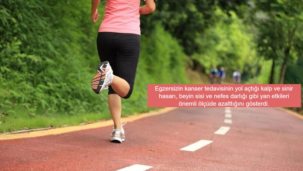 Çin Tıp Üniversitesi’nin öncülüğünde yapılan kapsamlı bir araştırma, egzersizin kanser