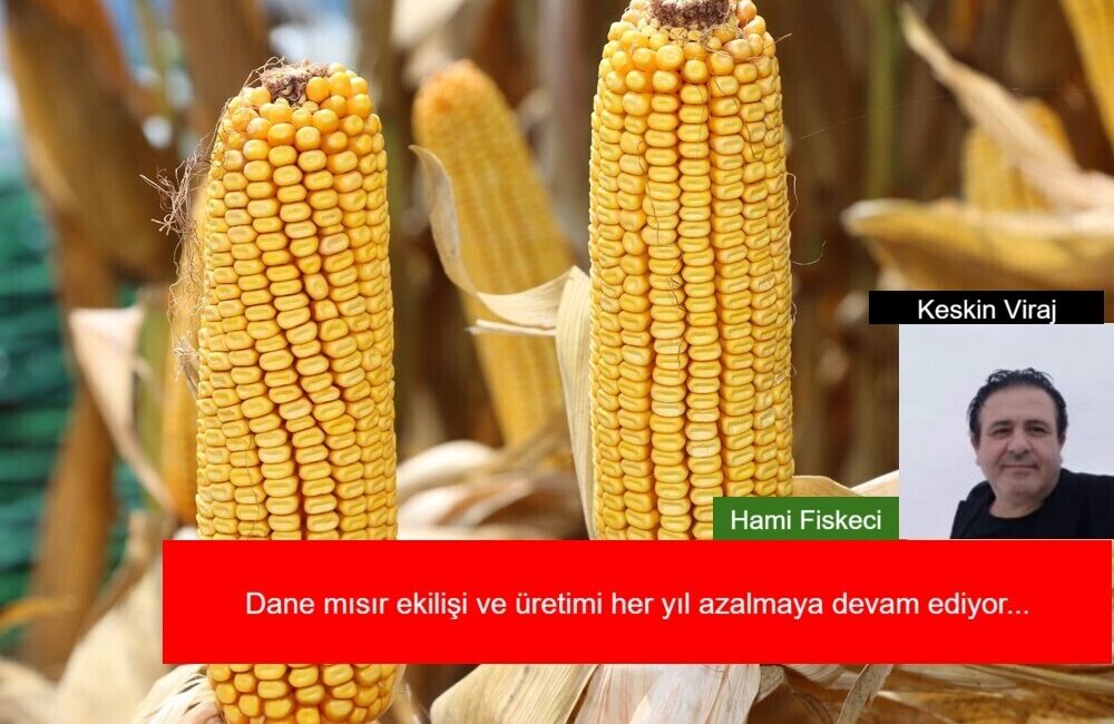 Üretim azaldıkça dışa bağımlılığımızda artarak devam ediyor...