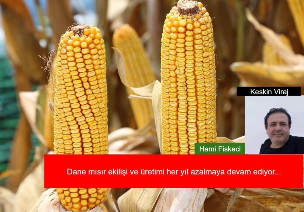 Üretim azaldıkça dışa bağımlılığımızda artarak devam ediyor...