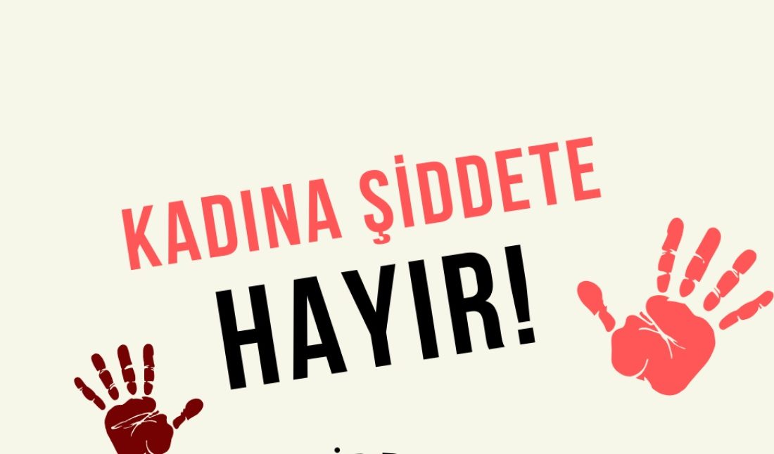 ANKARA-BHA Türkiye Büyük Millet Meclisi’nde kadına yönelik şiddet ve ayrımcılıkla