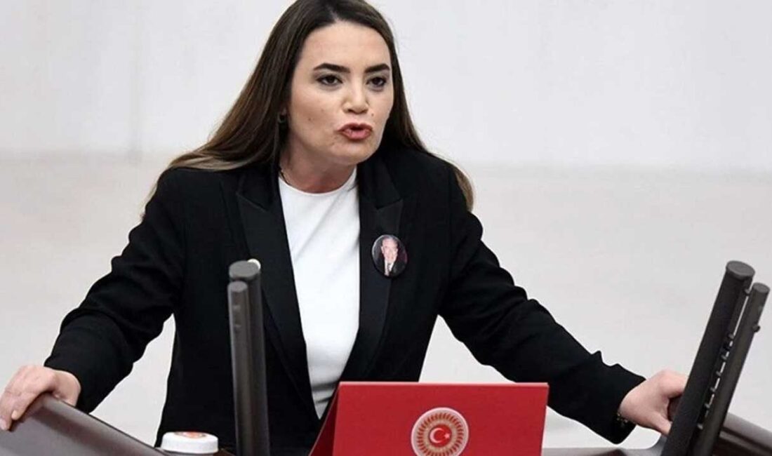 İYİ Parti Grup Başkanvekili Turhan Çömez, İYİ Parti Adana Milletvekili