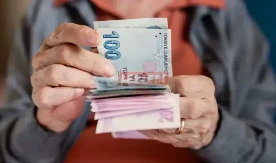 ANKARA-BHA Çalışma ve Sosyal Güvenlik Bakanı Vedat Işıkhan, Kurban Bayramı