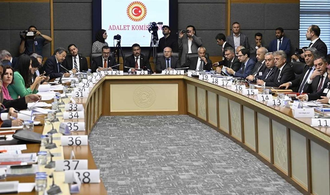 Türkiye Büyük Millet Meclisi (TBMM) Adalet Komisyonu, Ceza ve Güvenlik