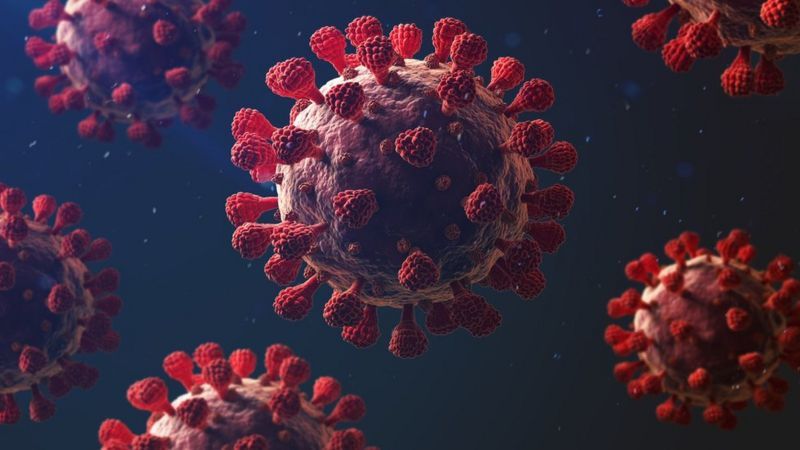 ANKARA-BHA Almanya’daki Charite – Universitätsmedizin Berlin bünyesinde yapılan kapsamlı bir