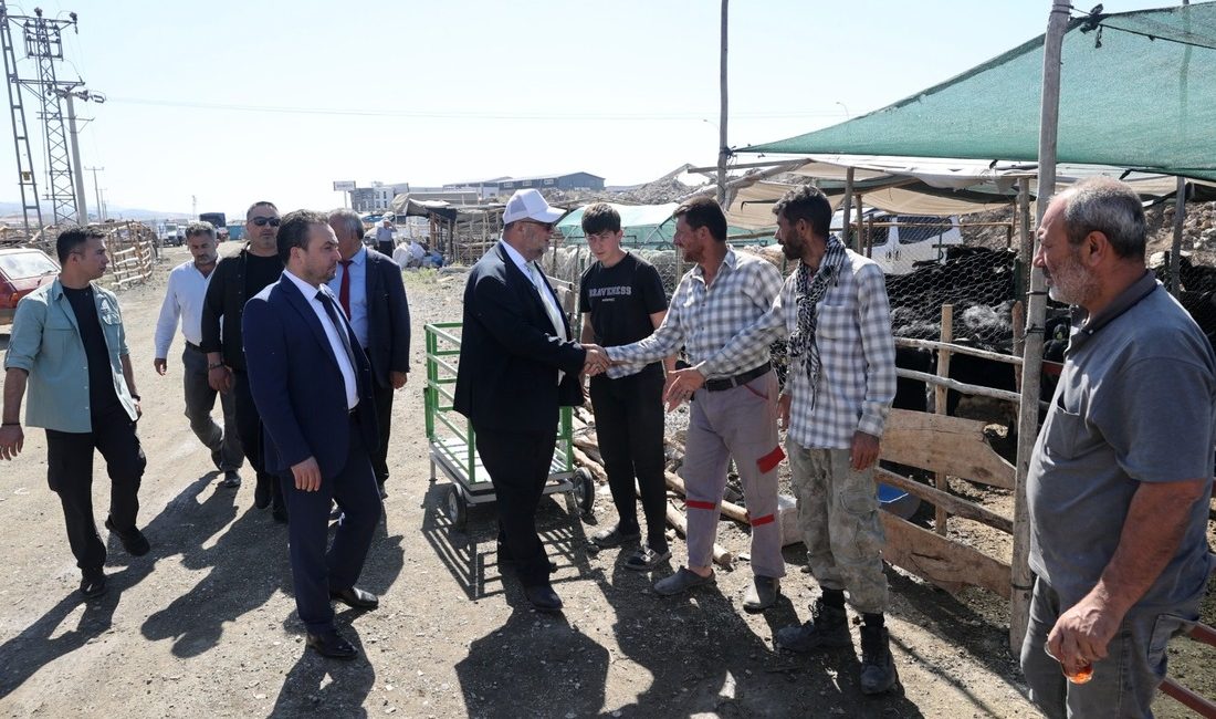Dulkadiroğlu Belediye Başkanı Mehmet Akpınar, Kurban Bayramı öncesi vatandaşların kurbanlık