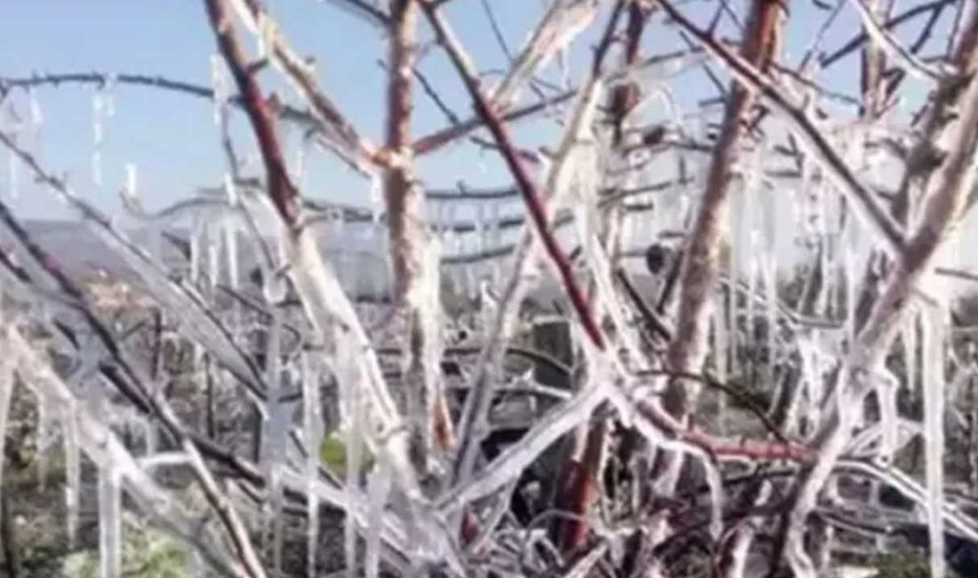 TBMM Zirai Don Olayını Araştırma Komisyonu, Nisan ayında meydana gelen