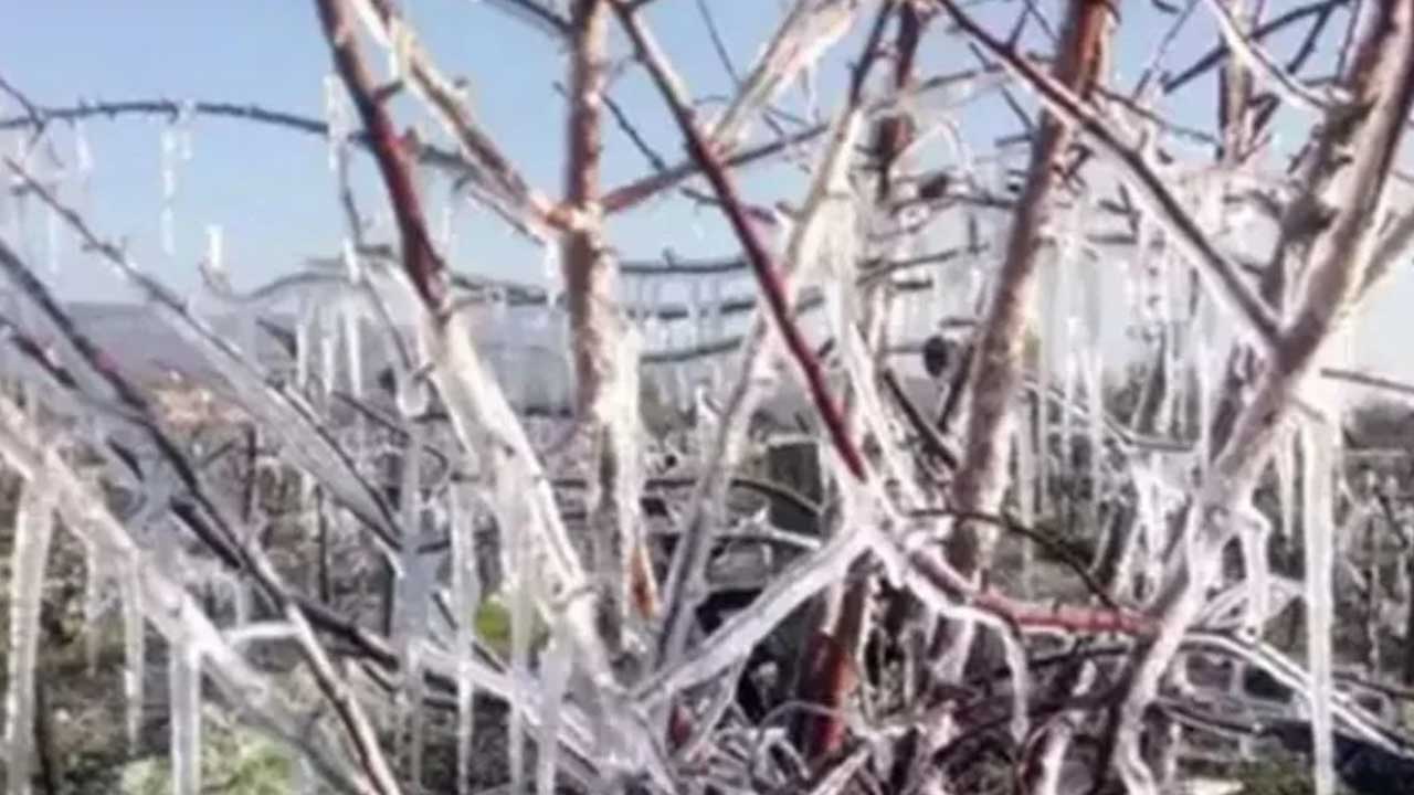 TBMM Zirai Don Olayını Araştırma Komisyonu, Nisan ayında meydana gelen