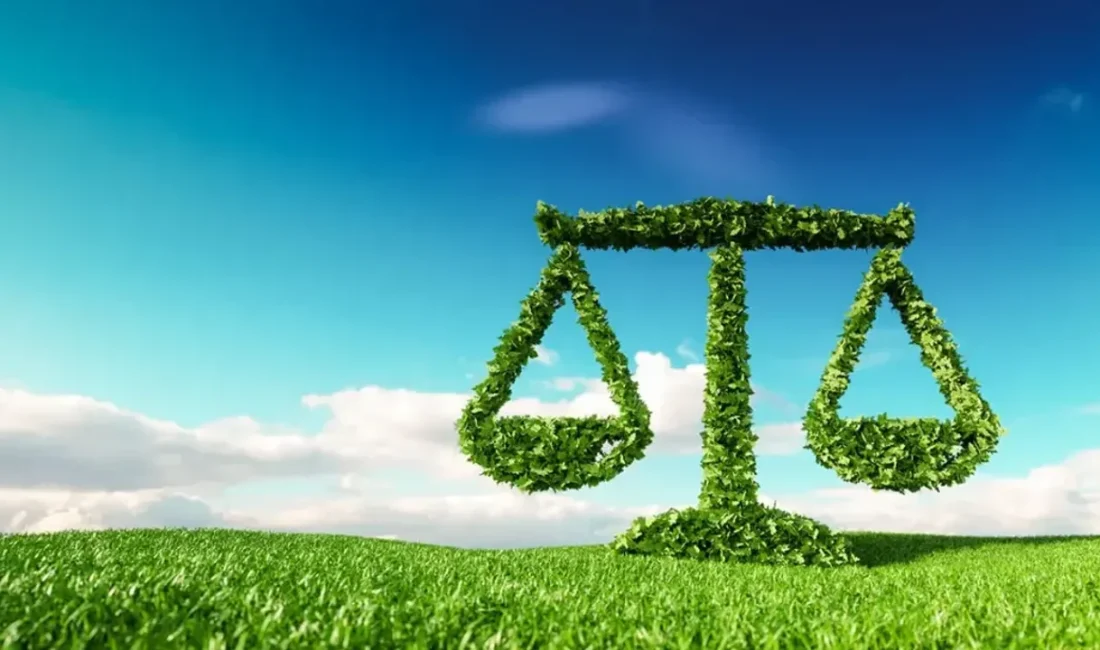 Enerji Verimliliği Derneği Başkanı Ahmet Erdem, Türkiye'nin ilk İklim Kanunu'nun