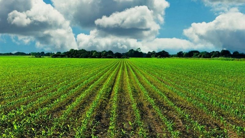 TKDK tarafından yürütülen IPARD III Programı kapsamında bugüne kadar 319