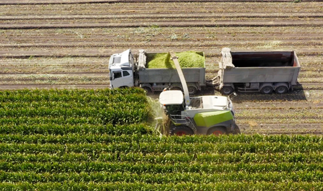 Tarım ve Orman Bakanı İbrahim Yumaklı, tarım sigortası bulunmayan ancak