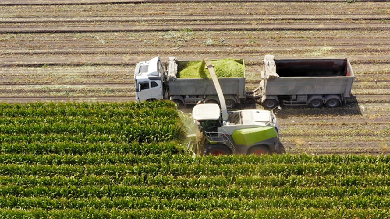 Tarım ve Orman Bakanı İbrahim Yumaklı, tarım sigortası bulunmayan ancak