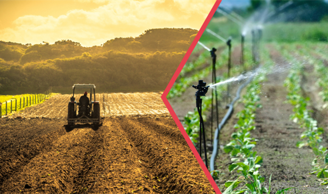 Tarım ve Orman Bakanı İbrahim Yumaklı, 320 milyon 620 bin