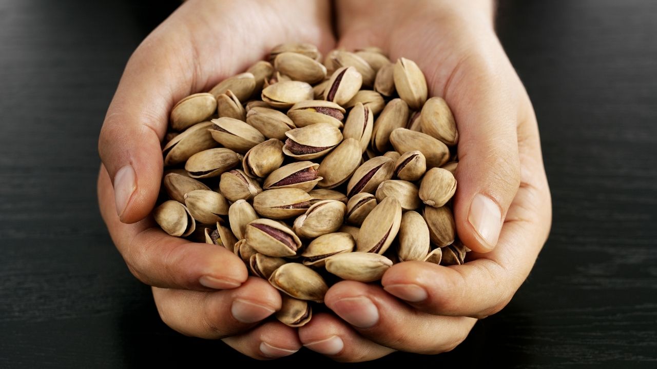 Türkiye, yılın ilk 9 ayında 89 ülkeye 152,6 milyon dolarlık