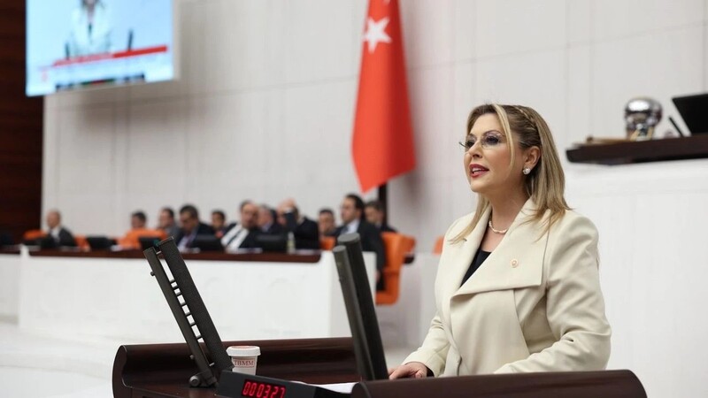 Cumhuriyet Halk Partisi (CHP) Giresun Milletvekili Elvan Işık Gezmiş bir