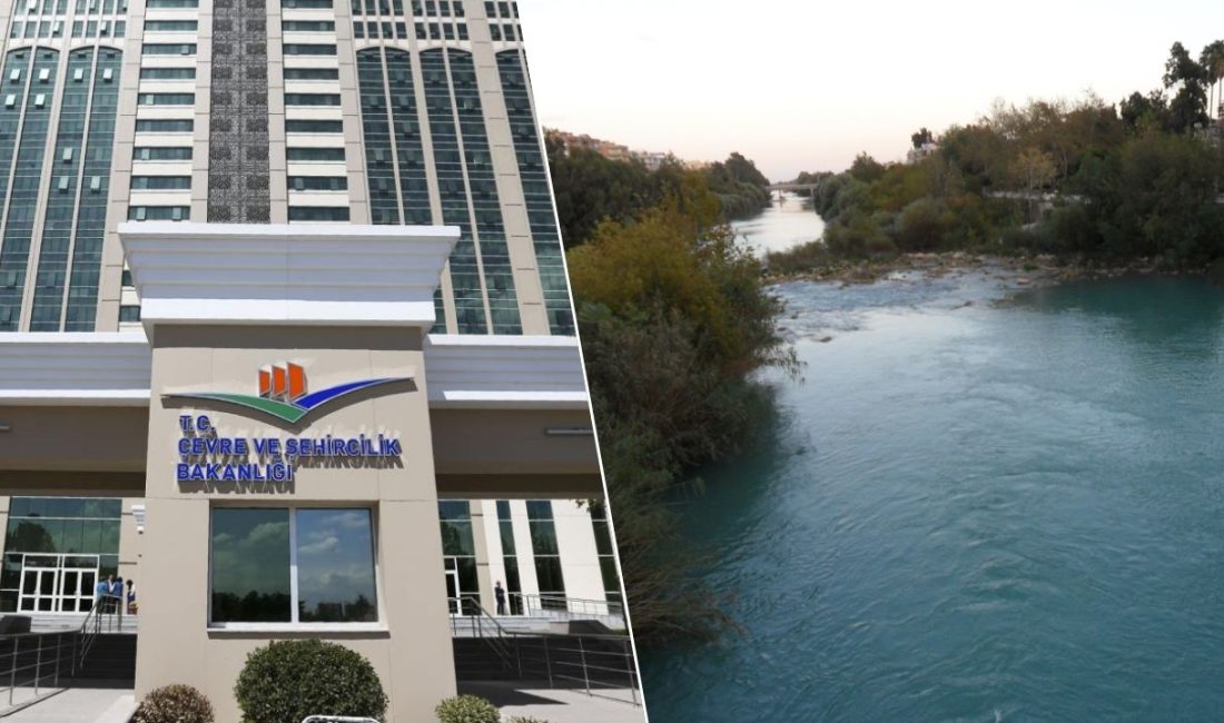 Çevre, Şehircilik ve İklim Değişikliği Bakanlığı, Mersin’in Mut ilçesinde zeytin