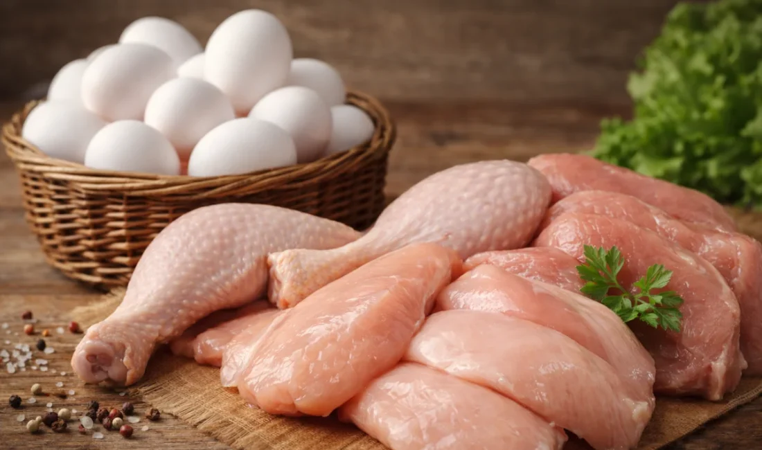 ANKARA – BHA  Verilere göre, ocakta tavuk eti üretimi