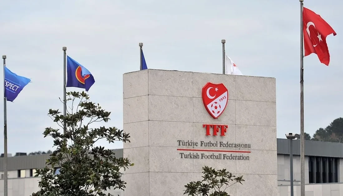 Türkiye Futbol Federasyonu (TFF) Tahkim Kurulu, Profesyonel Futbol Disiplin Kurulu