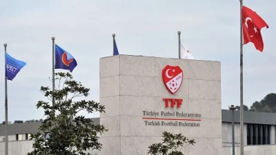 Türkiye Futbol Federasyonu (TFF) Tahkim Kurulu, Profesyonel Futbol Disiplin Kurulu
