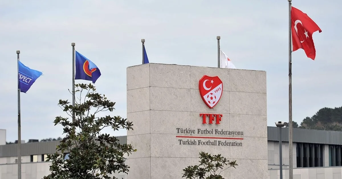 Türkiye Futbol Federasyonu (TFF) Tahkim Kurulu, Profesyonel Futbol Disiplin Kurulu