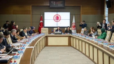 Türkiye Büyük Millet Meclisi’nde çocukların suça sürüklenme nedenlerini araştırmak ve