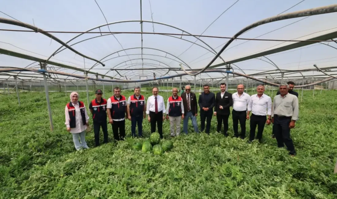 SİİRT – BHA   Tarım ve hayvancılığın merkezi konumundaki Siirt’te,
