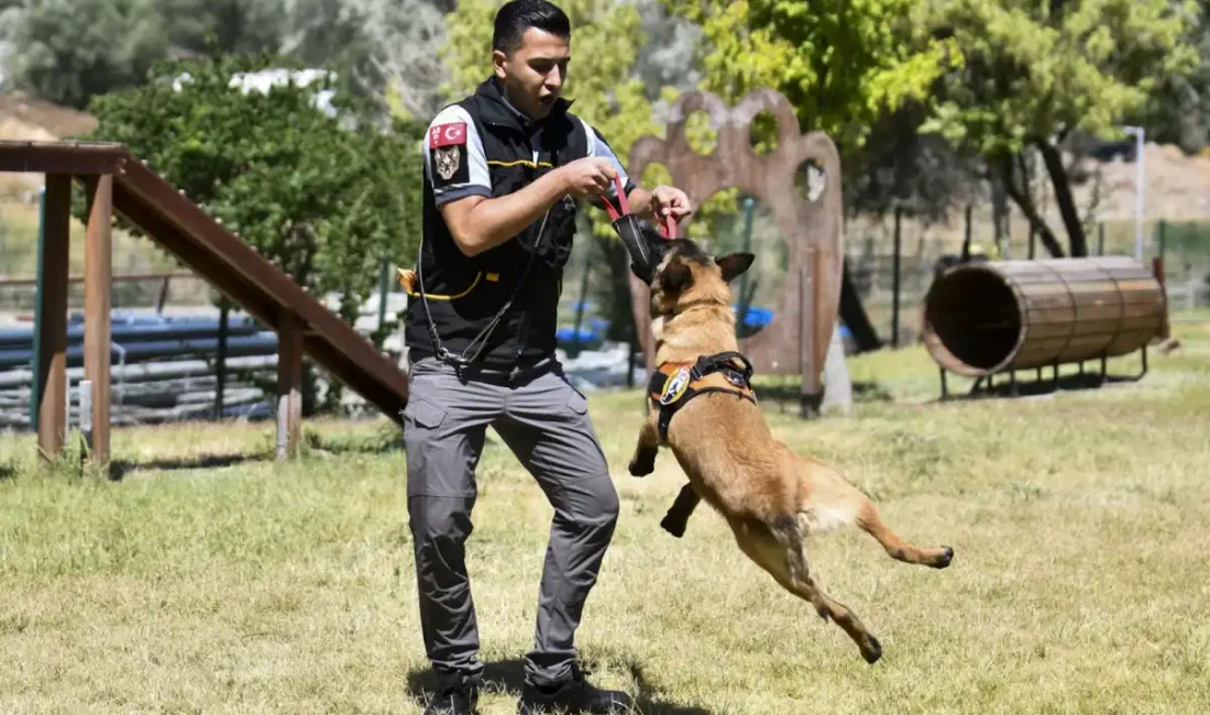 ANKARA – BHA Görev sürelerini tamamlayan K9 köpekleri emekli olduktan