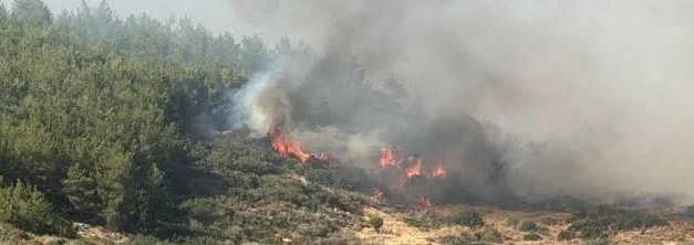 Çanakkale’de orman yangınına müdahale ÇANAKKALE – BHA Yangın, Çanakkel’nin Ezine ilçesine bağlı Sarısöğüt köyü