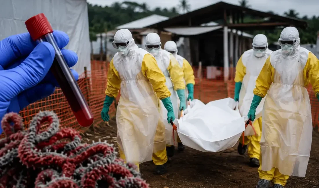 DSÖ’den Ebola uyarısı: KDC’de risk çok yüksek ANKARA – BHA Salgının merkez üssü Ituri eyaleti olmaya devam