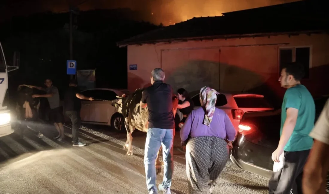 ANTALYA – BHA Yangına müdahalede 3 uçak ve 9 helikopterin yanı