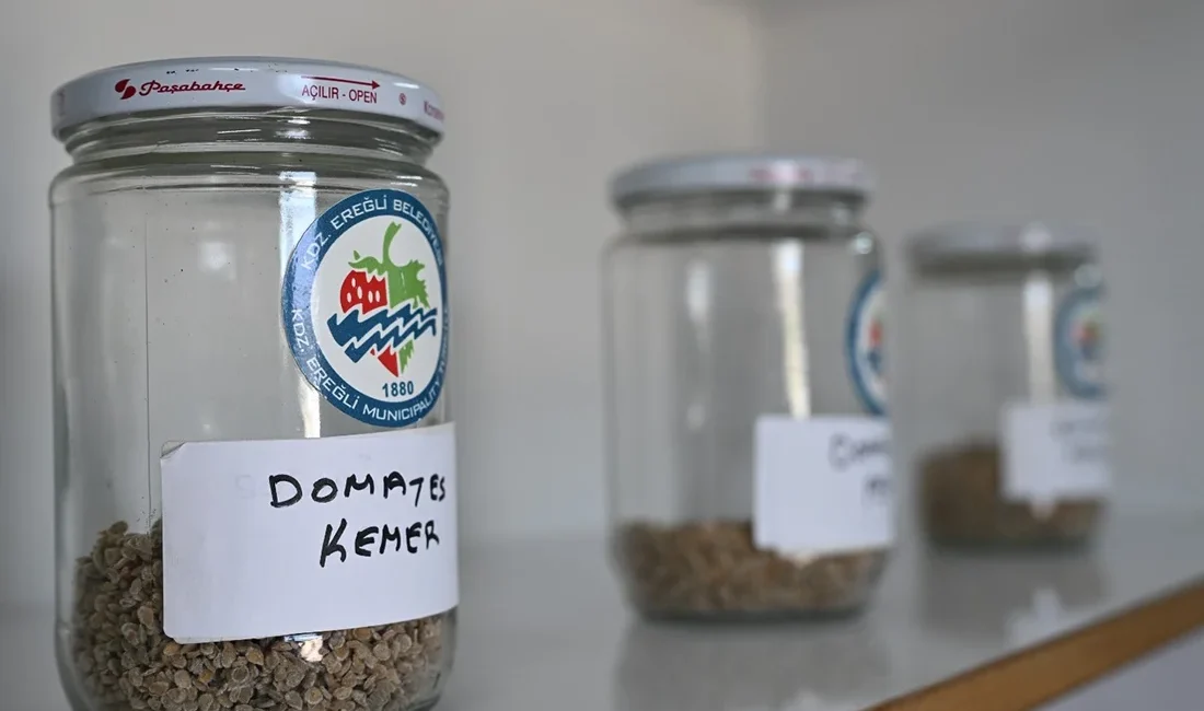 ZONGULDAK – BHA Kdz. Ereğli Belediyesi’nin 2020 yılında sağlıklı ve