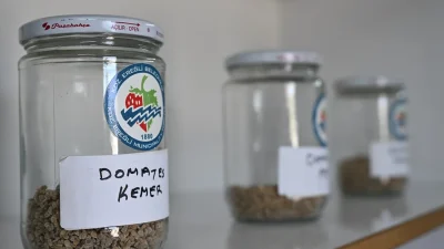 ZONGULDAK – BHA Kdz. Ereğli Belediyesi’nin 2020 yılında sağlıklı ve