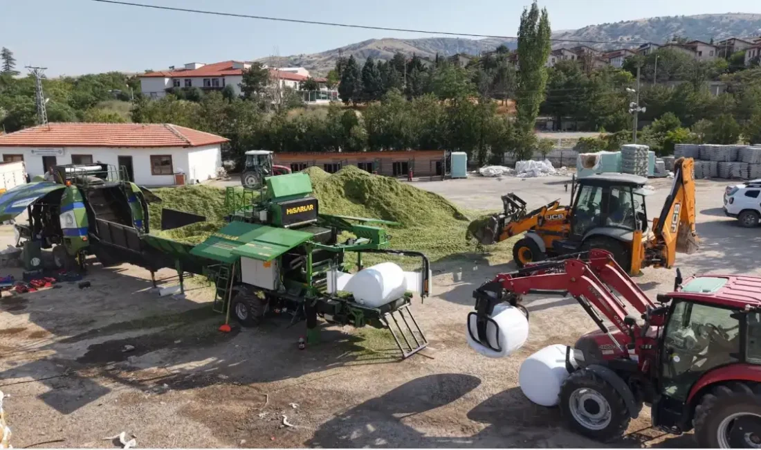 Çiftçiden alınan mısır silajları hayvan yetiştiricilerine dağıtılıyor ANKARA – BHA Kalecik, Akyurt, Çubuk ve Elmadağ ilçelerinde hayvancılık