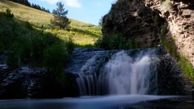  KARS – BHA   Kars’ın Sarıkamış ilçesinde sarıçam
