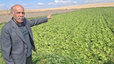 Yaşar TONBAK – BHA Demokrat Parti (DP) Beypazarı İlçe Başkanı