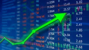 Çağlar KAMİT – BHA  SPK tarafından tasfiye sürecine alınan 131