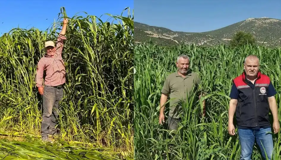 ISPARTA – BHA Proje kapsamında yüzde 75 Bakanlık hibesi ve