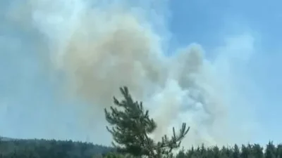 KASTAMONU – BHA  Kastamonu’nun İnebolu ilçesine bağlı Deresökü köyünde Cemal