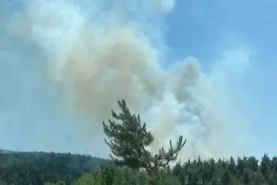 KASTAMONU – BHA  Kastamonu’nun İnebolu ilçesine bağlı Deresökü köyünde Cemal