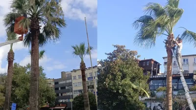 ZONGULDAK – BHA Kdz. Ereğli Belediyesi Park ve Bahçeler Birimi