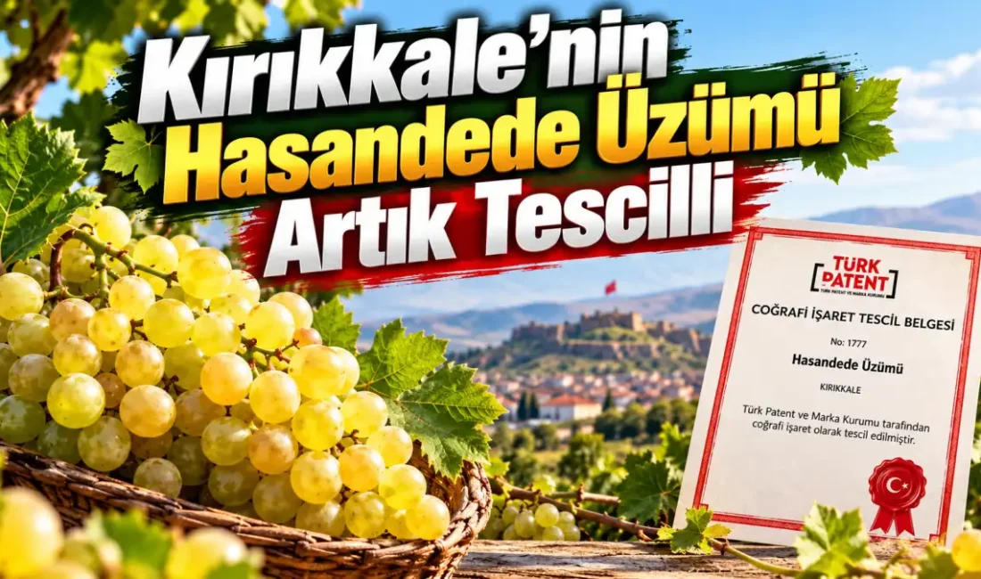 KIRIKKALE – BHA Kırıkkale’nin önemli tarımsal değerlerinden Hasandede Üzümü, coğrafi