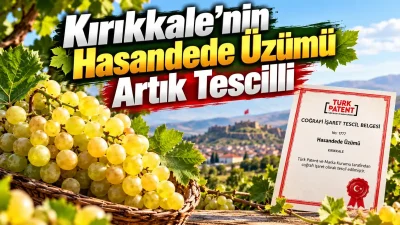 KIRIKKALE – BHA Kırıkkale’nin önemli tarımsal değerlerinden Hasandede Üzümü, coğrafi