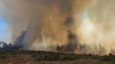 MUĞLA – BHA Yangın, Menteşe ilçesi Yaraş Mahallesi’ndeki ormanlık alanda