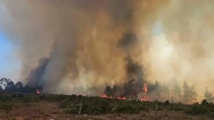 Muğla’da orman yangını büyüyor: Ula’ya ulaştı MUĞLA – BHA Yangın, Menteşe ilçesi Yaraş Mahallesi’ndeki ormanlık alanda
