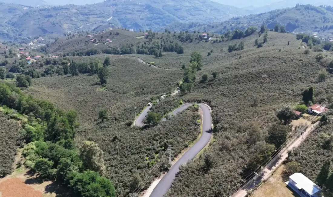 Ordu Ulubey Şeyhler’e sıcak asfalt ORDU – BHA Ordu Büyükşehir Belediye Başkanı Dr. Mehmet Hilmi